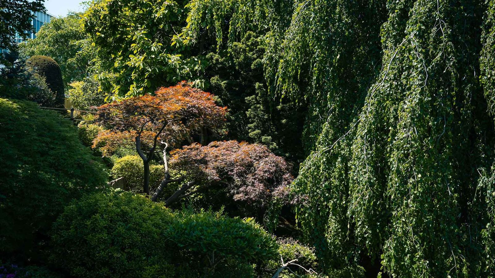 Albert-Kahn Garden, Boulogne