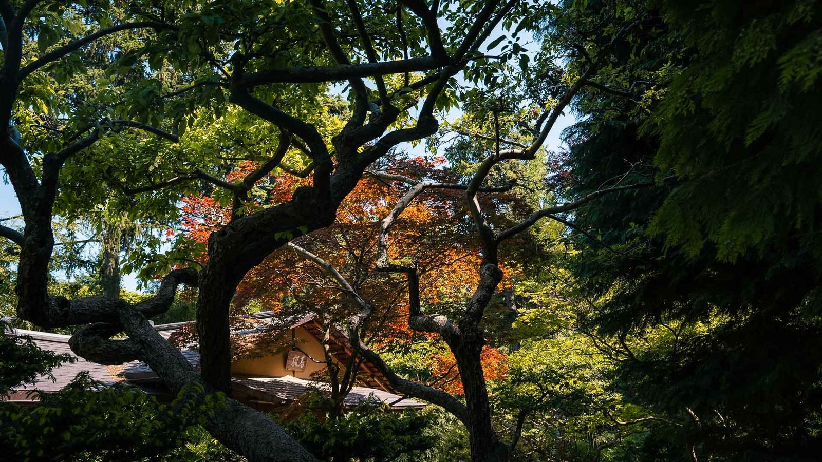 Albert-Kahn Garden, Boulogne