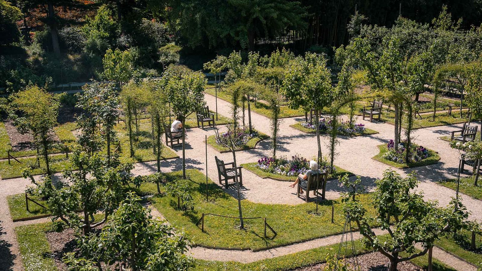 Albert-Kahn Garden, Boulogne