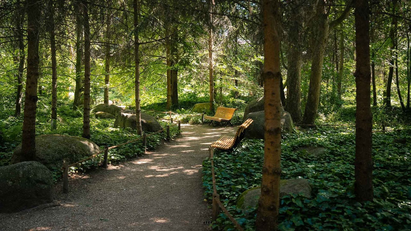 Albert-Kahn Garden, Boulogne