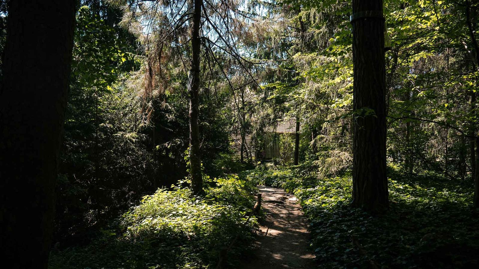 Albert-Kahn Garden, Boulogne