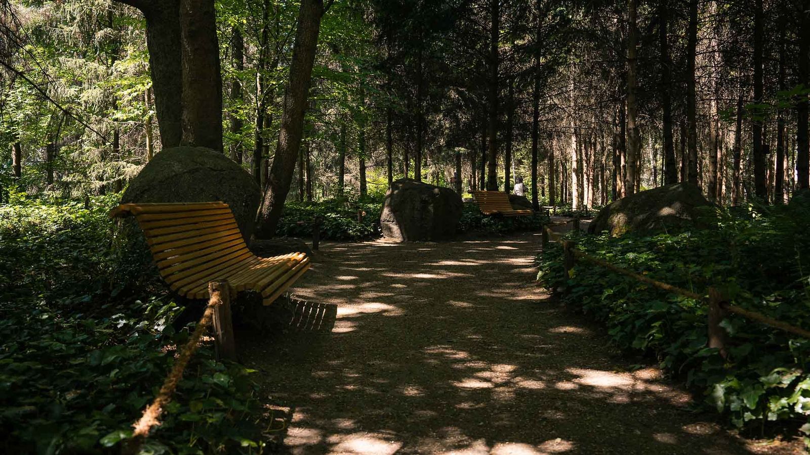 Albert-Kahn Garden, Boulogne