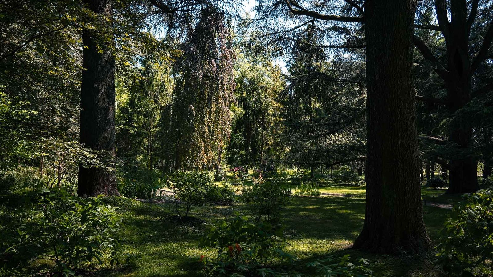 Albert-Kahn Garden, Boulogne