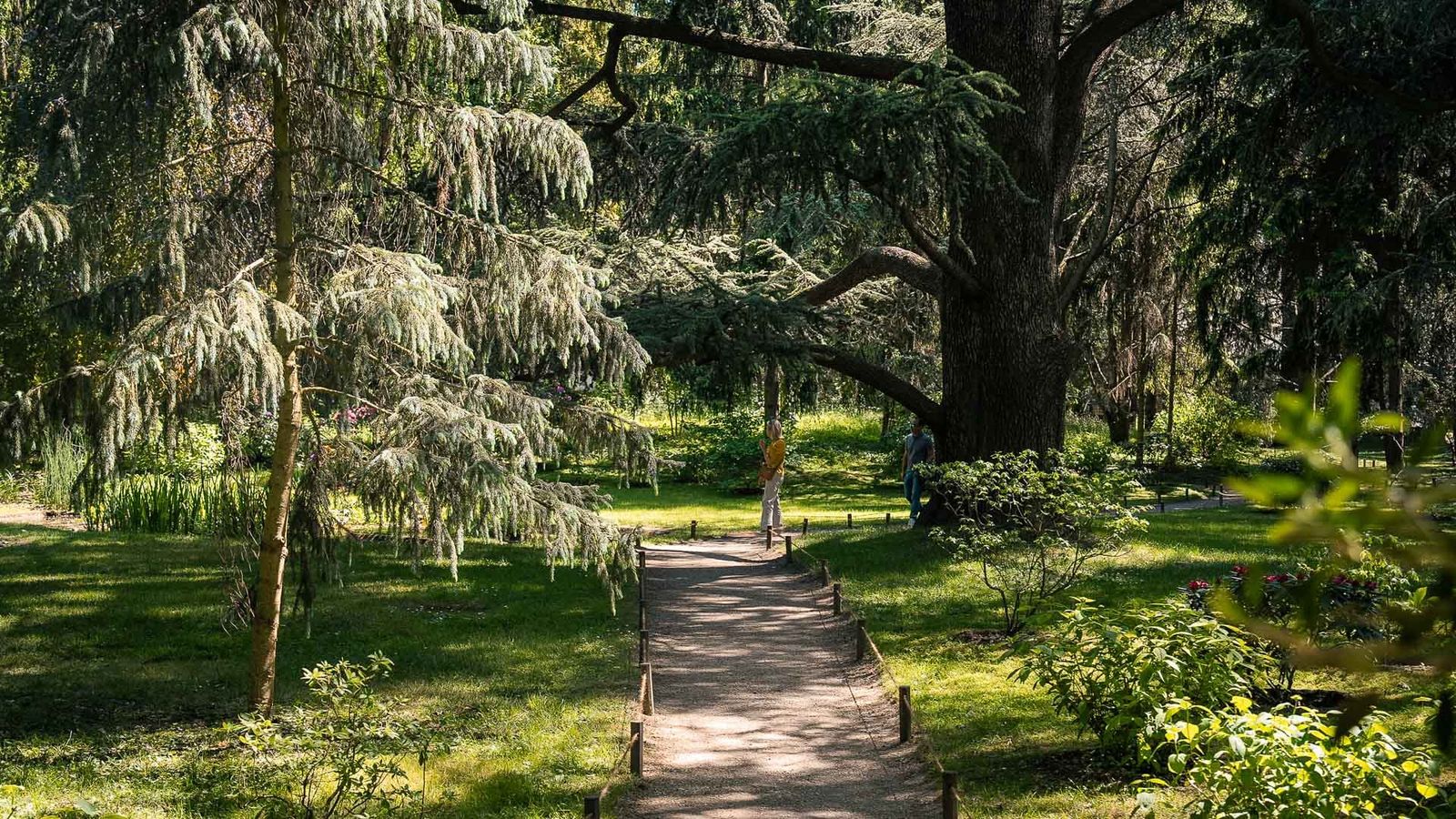 Albert-Kahn Garden, Boulogne