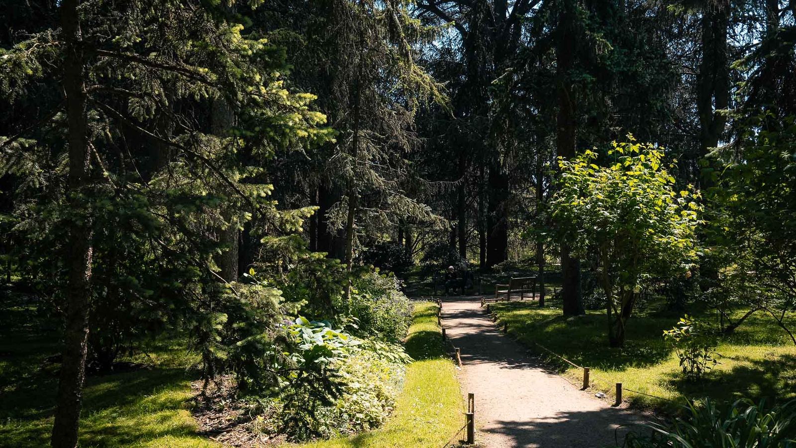 Albert-Kahn Garden, Boulogne
