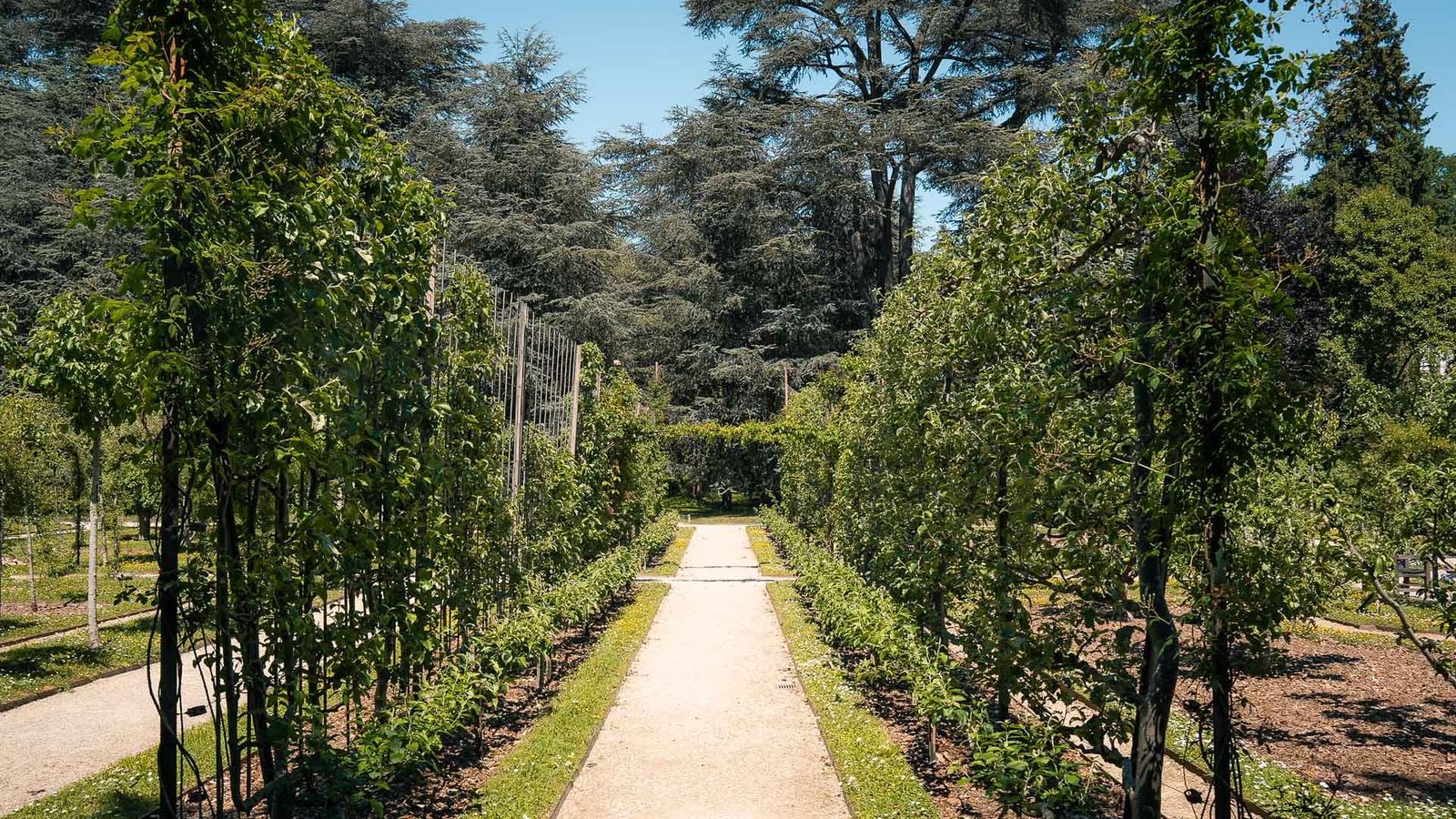 Albert-Kahn Garden, Boulogne
