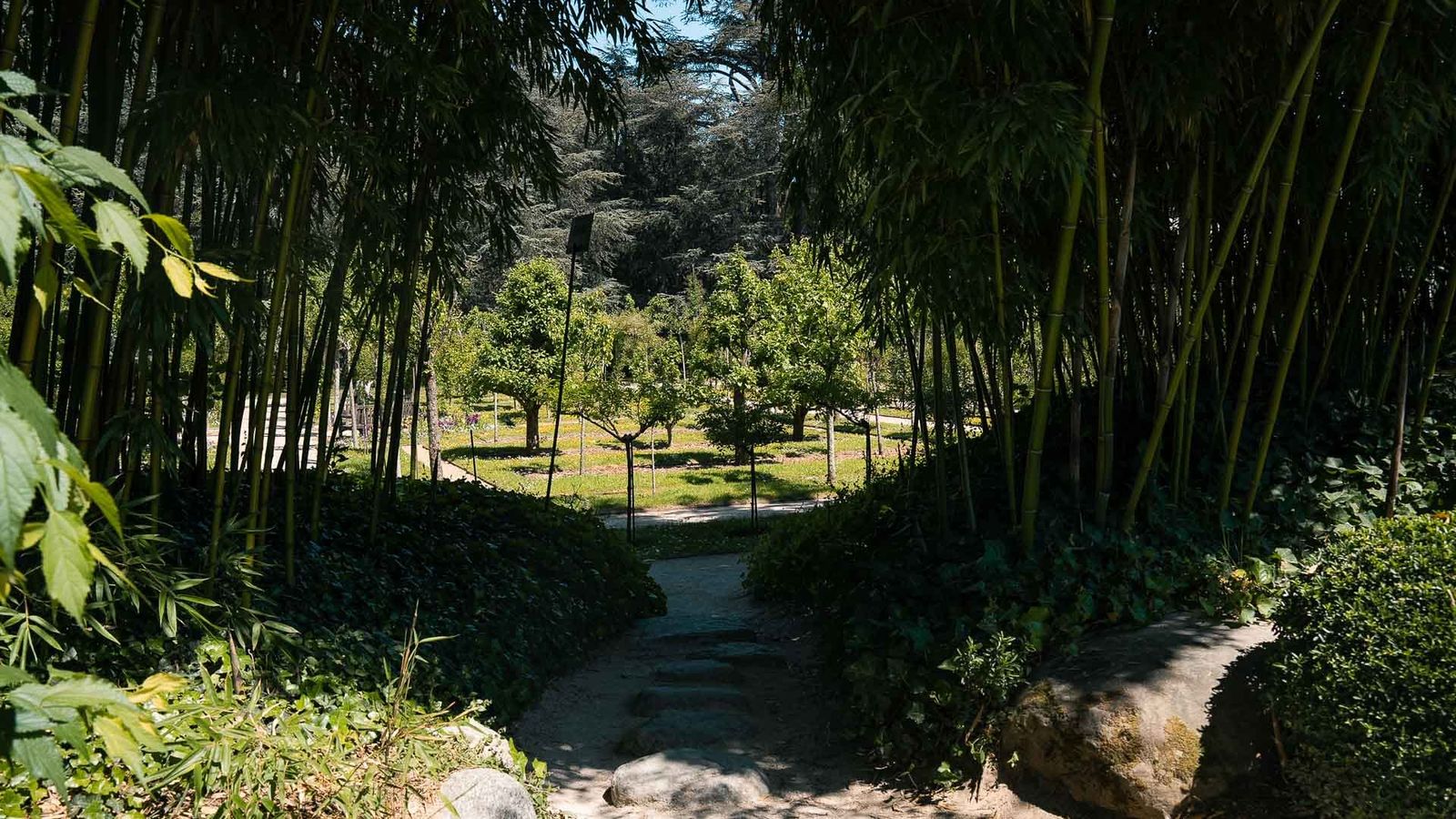 Albert-Kahn Garden, Boulogne