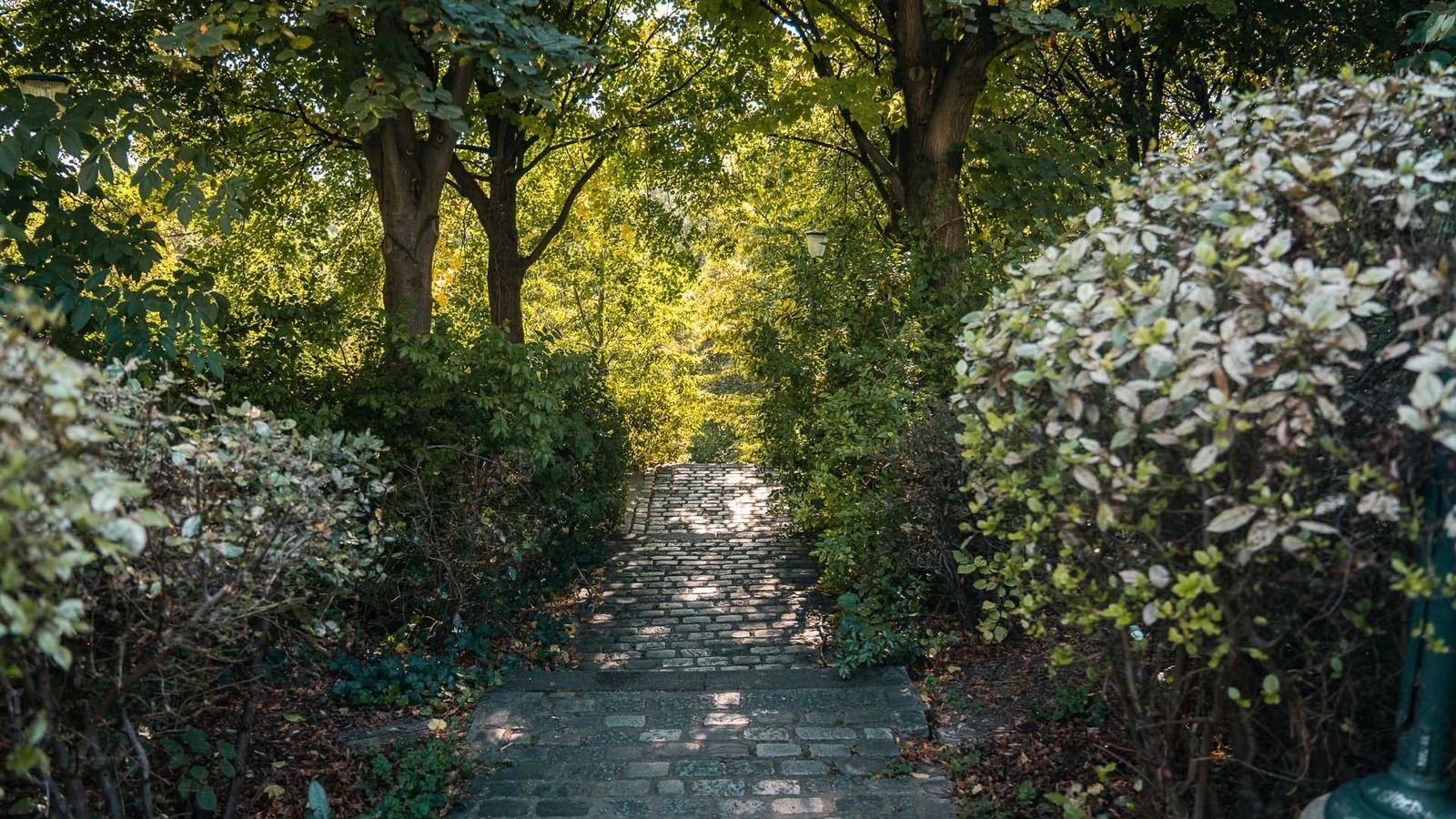 Belleville Park, Paris Belleville Park, Paris