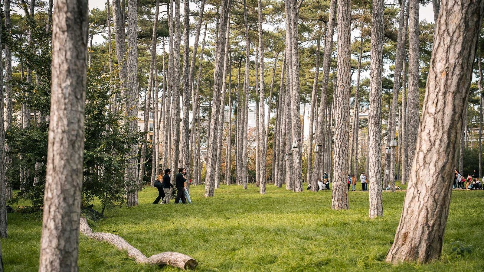 Bois de Boulogne, Paris Bois de Boulogne, Paris