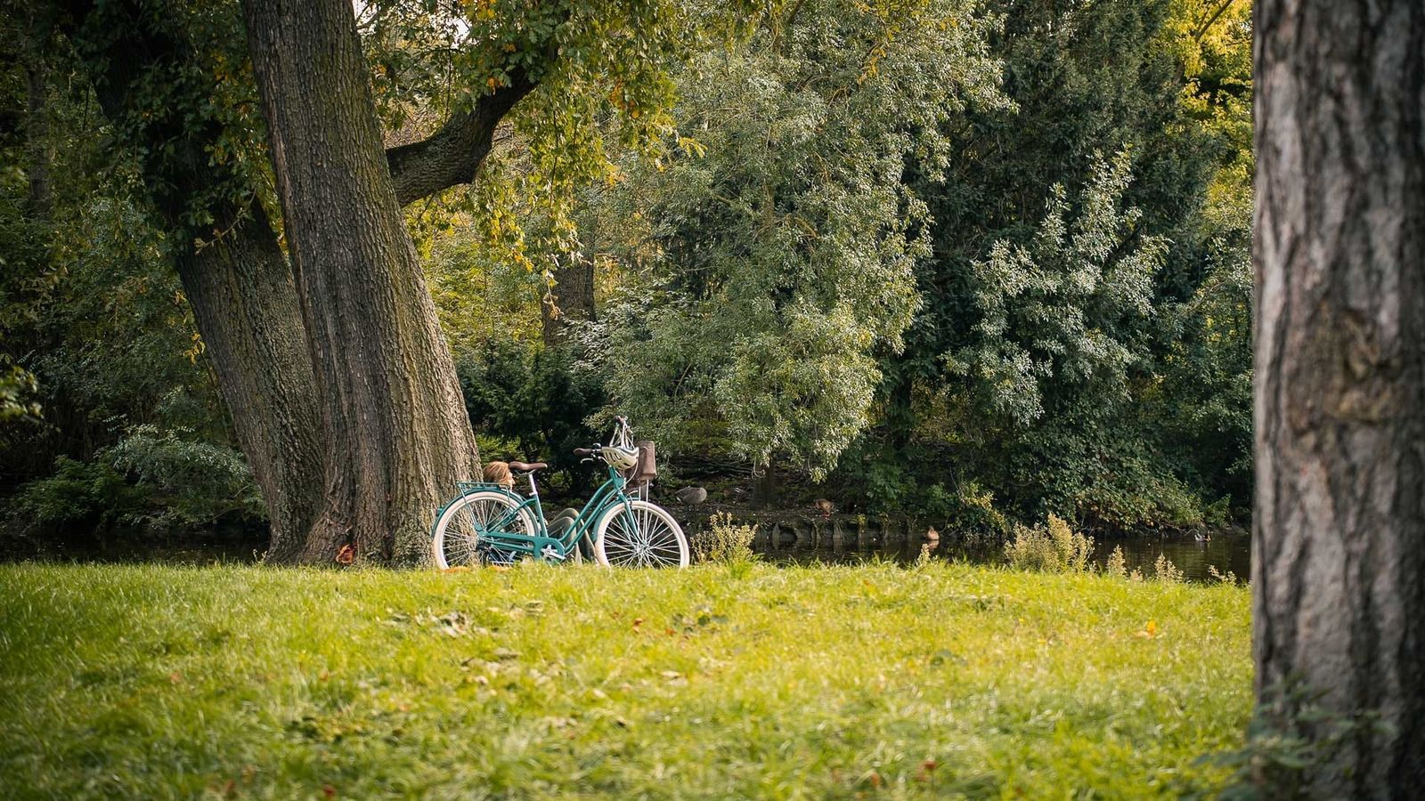 Bois de Boulogne, Paris Bois de Boulogne, Paris