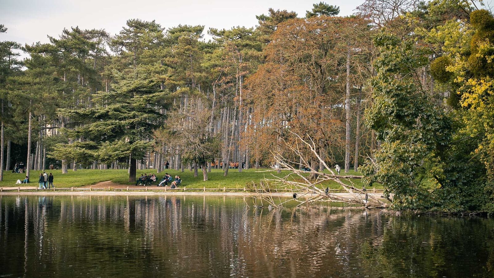 Bois de Boulogne, Paris Bois de Boulogne, Paris