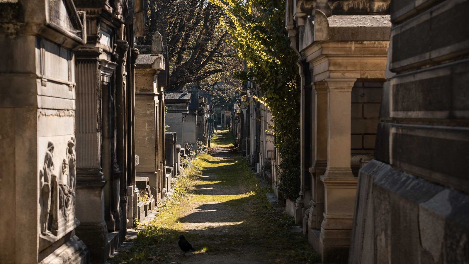 Cimetière Montmartre, Paris Cimetière Montmartre, Paris
