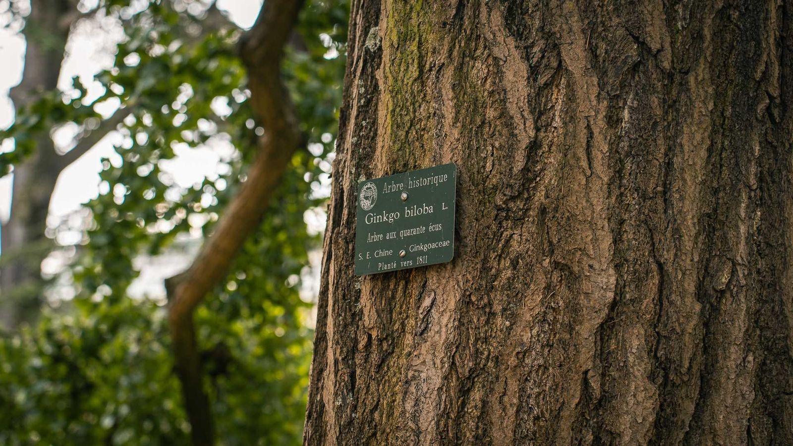 Jardin des Plantes, Paris Jardin des Plantes, Paris