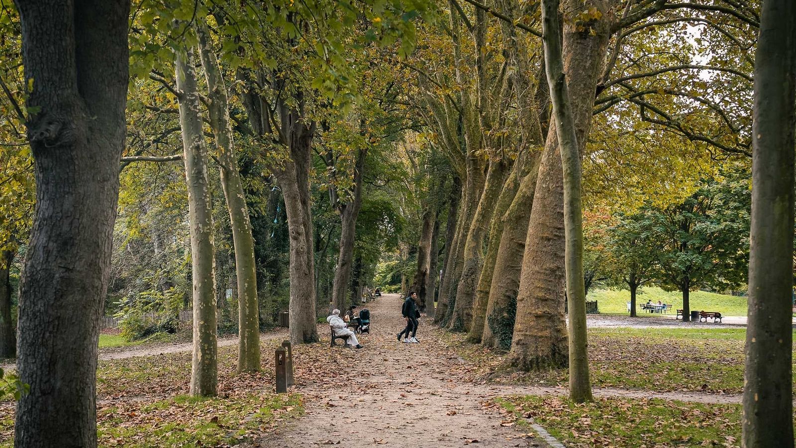 Parc de la Légion d'Honneur, Paris