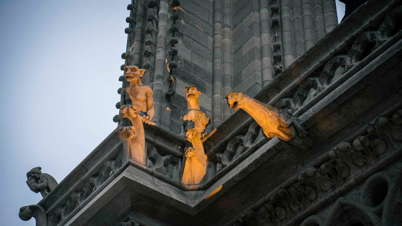 gargoyles, Notre dame Cathedral