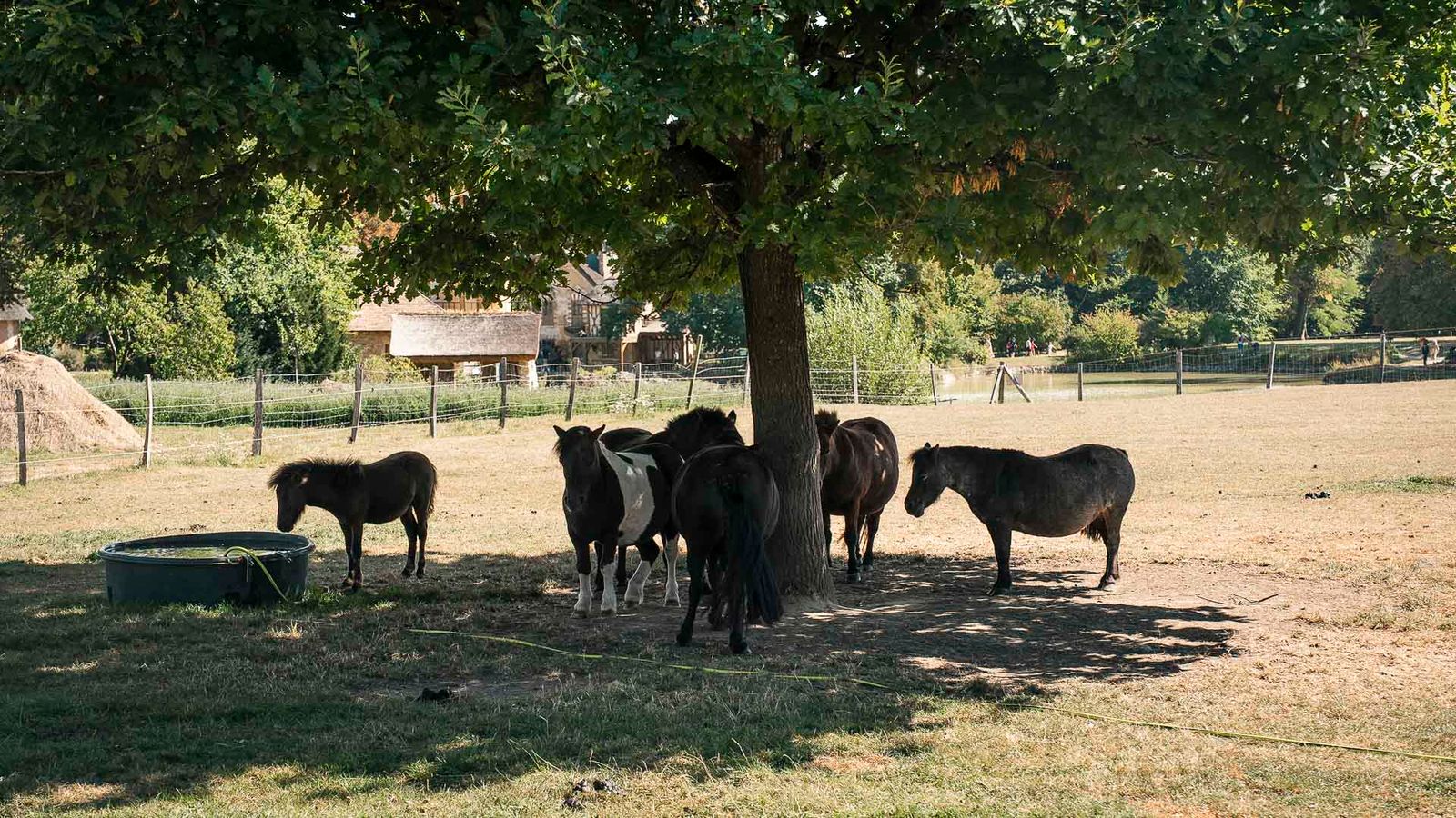 Le Hameau de la reine, Versailles