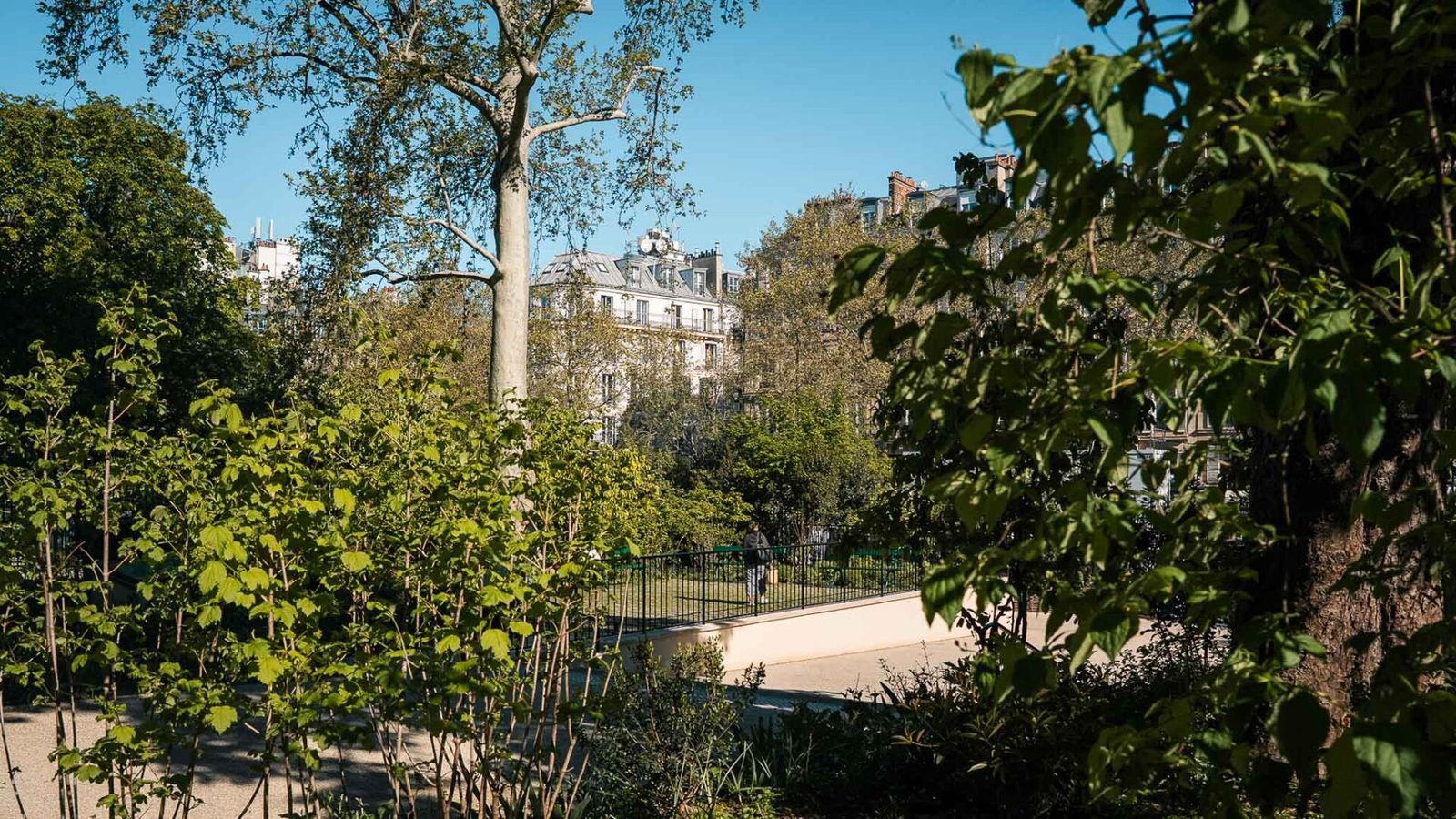 Medieval Garden Cluny Museum, Paris