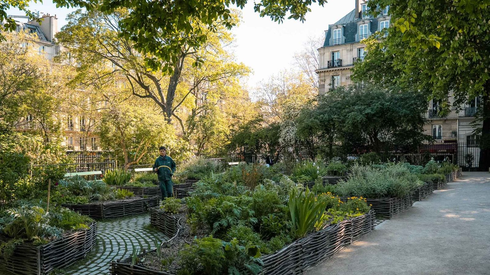 Medieval Garden Cluny Museum, Paris