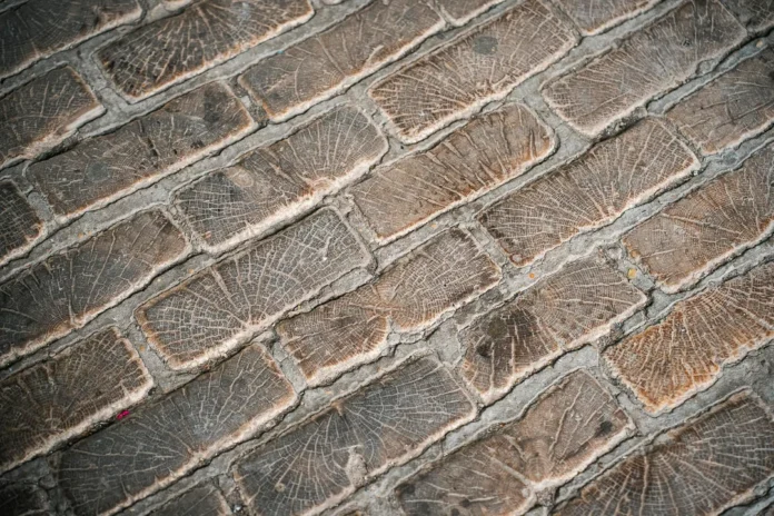 The last remaining-wooden cobblestones in paris
